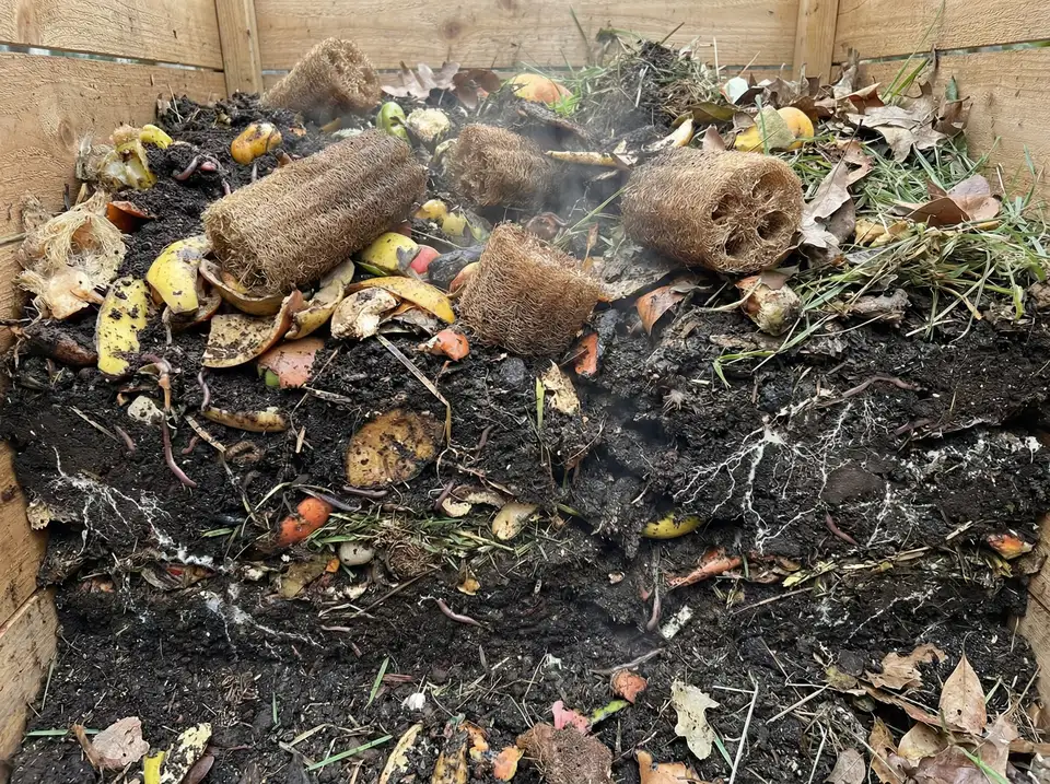 Biodegrading loofah integrated in compost layers