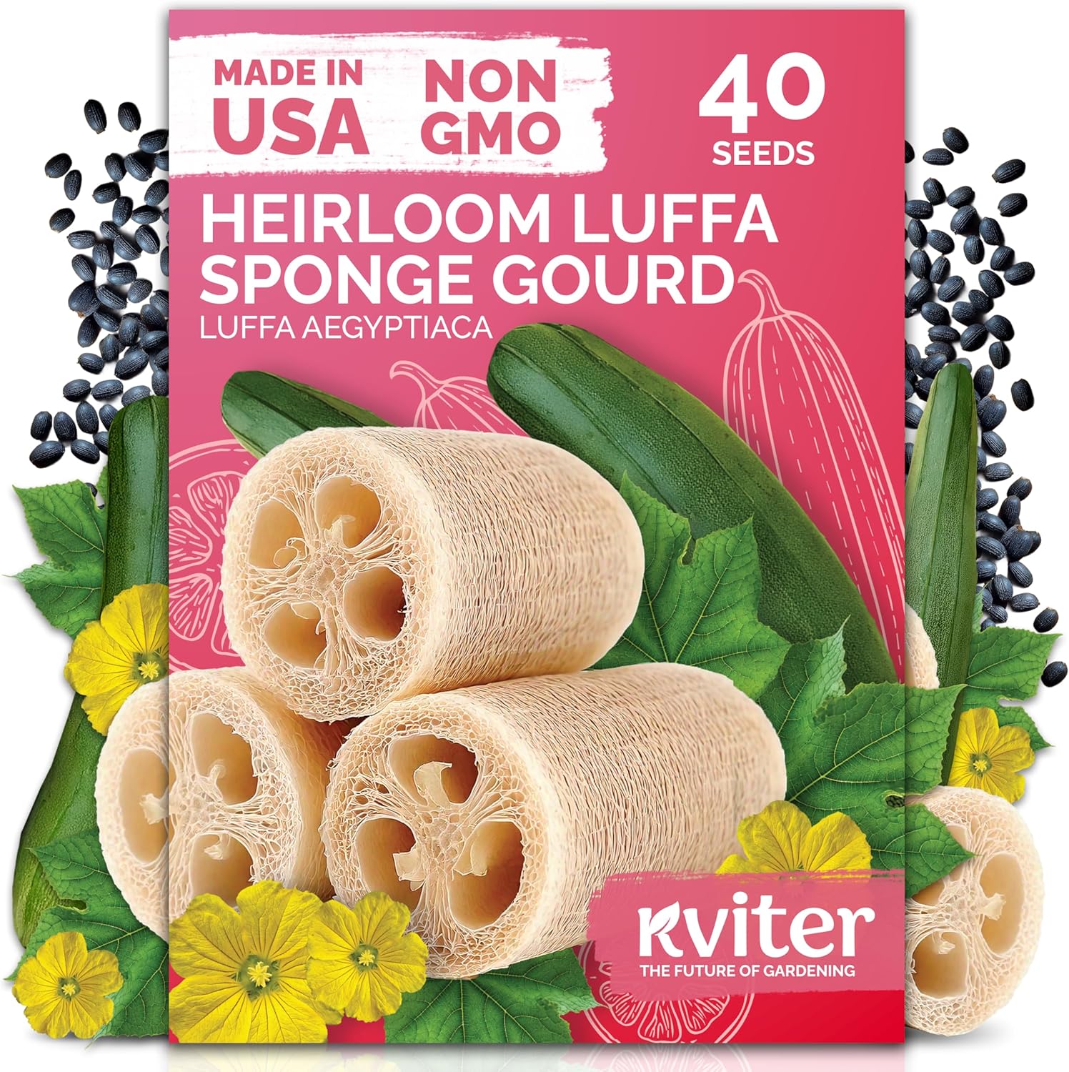 KVITER Heirloom Luffa Seeds