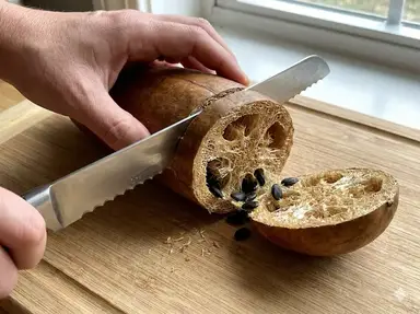 Opening dried loofah to extract seeds