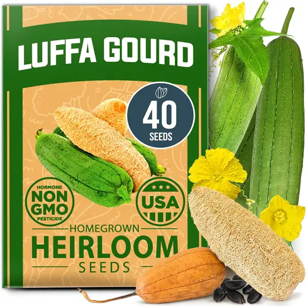 HOME GROWN Non-GMO Luffa Seeds packet